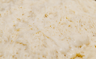 dough for the pie, close-up