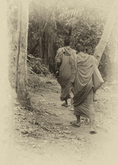 Two young Buddhist monks
