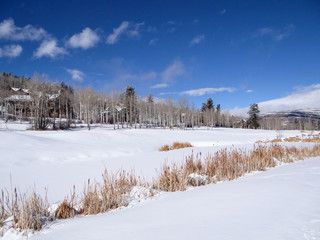 Large home and bare winter aspens