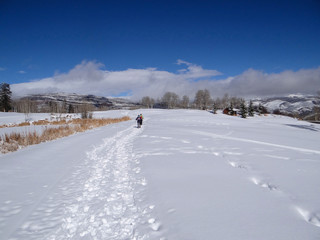 Women snowshoeing  under bare winter aspens