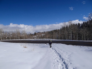 Women snowshoeing  under bare winter aspens