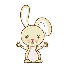 rabbit or bunny icon image vector illustration design 