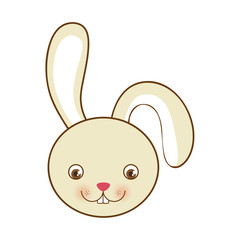 rabbit or bunny icon image vector illustration design 