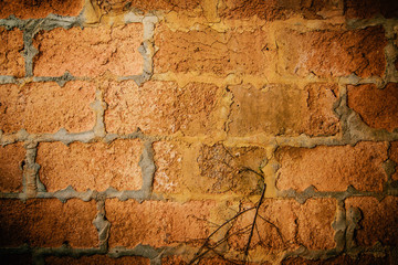 Background of old vintage brick wall with tree root