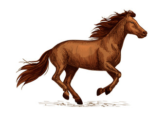 Obraz na płótnie Canvas Horse races sign. Sport symbol of stallion racing