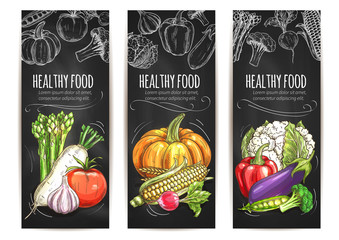 Vegetables. Vegetarian vector sketch posters