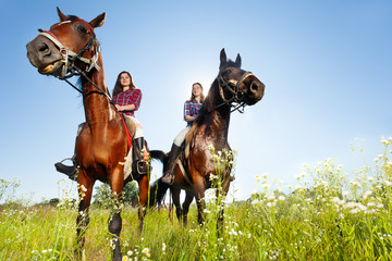 Two female equestrians with purebred brown horses