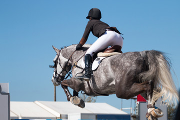 horse jumping competition