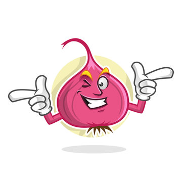 Funky Onion mascot, Onion character, Onion cartoon