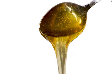 spoon of honey isolated on white background