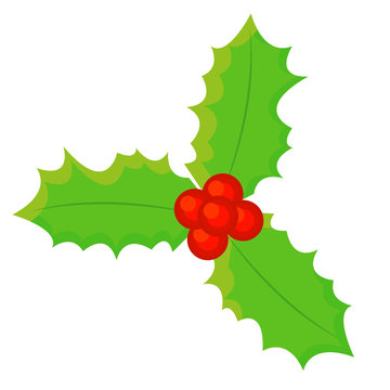 Christmas mistletoe, vector illustration, set xmas.

