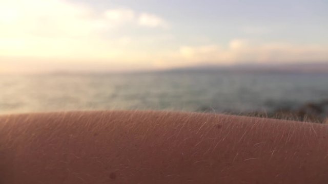 MACRO: Chills on human skin on beautiful but cold summer evening before sunset