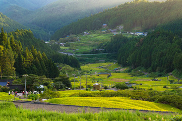 Japanese rural landscape with rice field terraces