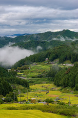 Aerial view of Yotsuya No Semmaida village and rice fields