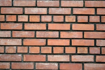 brick wall texture