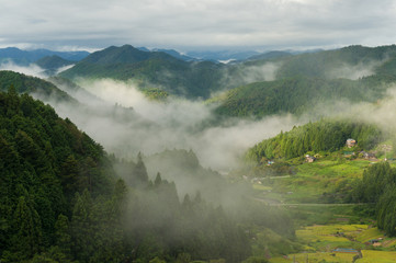 Fototapeta na wymiar Japanese rural landscape of mountain farms on foggy morning