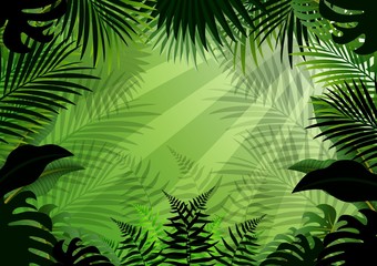 Seamless with Tropical forest background
