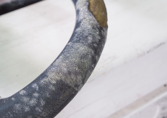 Mold on leather