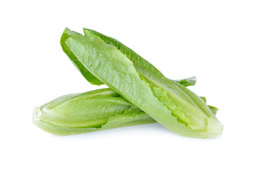 fresh Cos Lettuce on white background