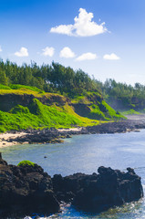  Gris Gris cape on South of Mauritius.