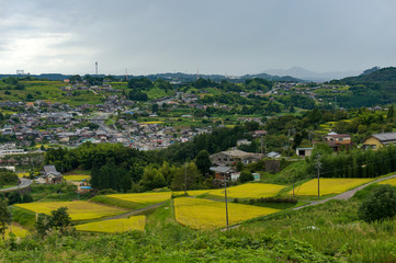 Agriculture landscape with village and farmlands