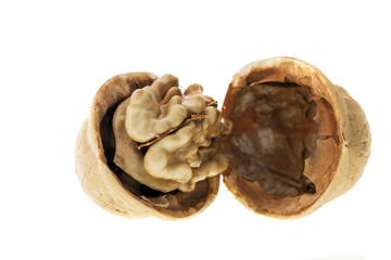 isolated on white walnuts