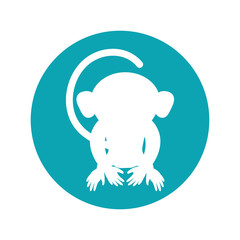 Monkey silhouette inside circle icon. Animal wildlife ape and primate theme. Isolated design. Vector illustration