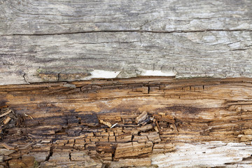 old wooden surface