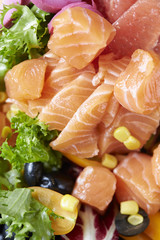 サーモンのサラダ
