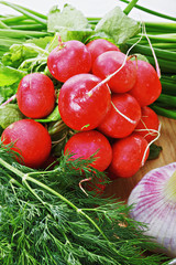 Radish and greens