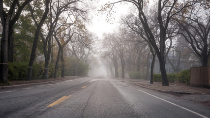 Fototapeta premium Foggy Fall Morning