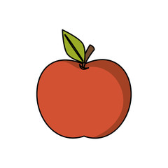 Apple fruit icon. Healthy organic and fresh food theme. Isolated design. Vector illustration