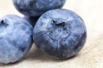 ripe berries blueberry