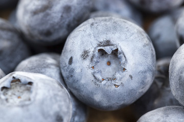 ripe blueberries, close-up