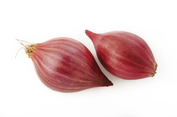 shallot onion isolated on white background