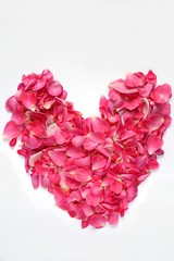 the heart of delicate petals pink roses isolated on white background