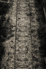 Very Old Train Tracks, Upper View