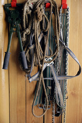 Horse riding reigns and ropes