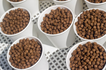 fish feed