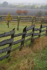 Fototapeta premium Wooden fence