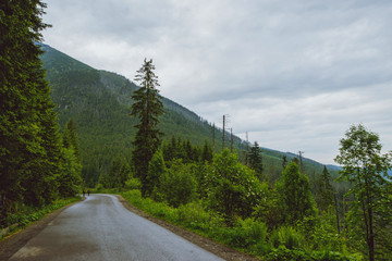Fototapeta na wymiar asphalt road in mountain