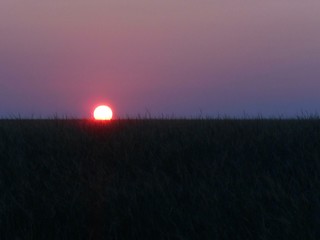 Закат солнца в степи