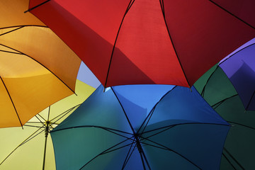 a variety of open umbrellas