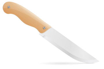 Knife with wooden handle