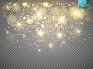 Christmas concept. Vector gold glitter particles background effect
