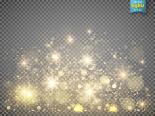 Christmas concept. Vector gold glitter particles background effect