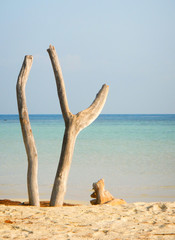 beautiful beach in Menjangan Kecil, Karimunjawa archipelago, Ind