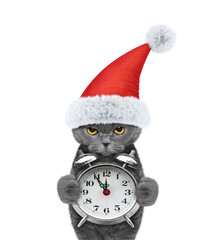 Cute cat in a hat of Santa Claus and clock