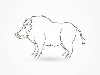 Boar, Wild Hog standing outline graphic vector.