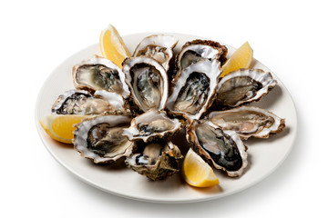 Fresh oysters